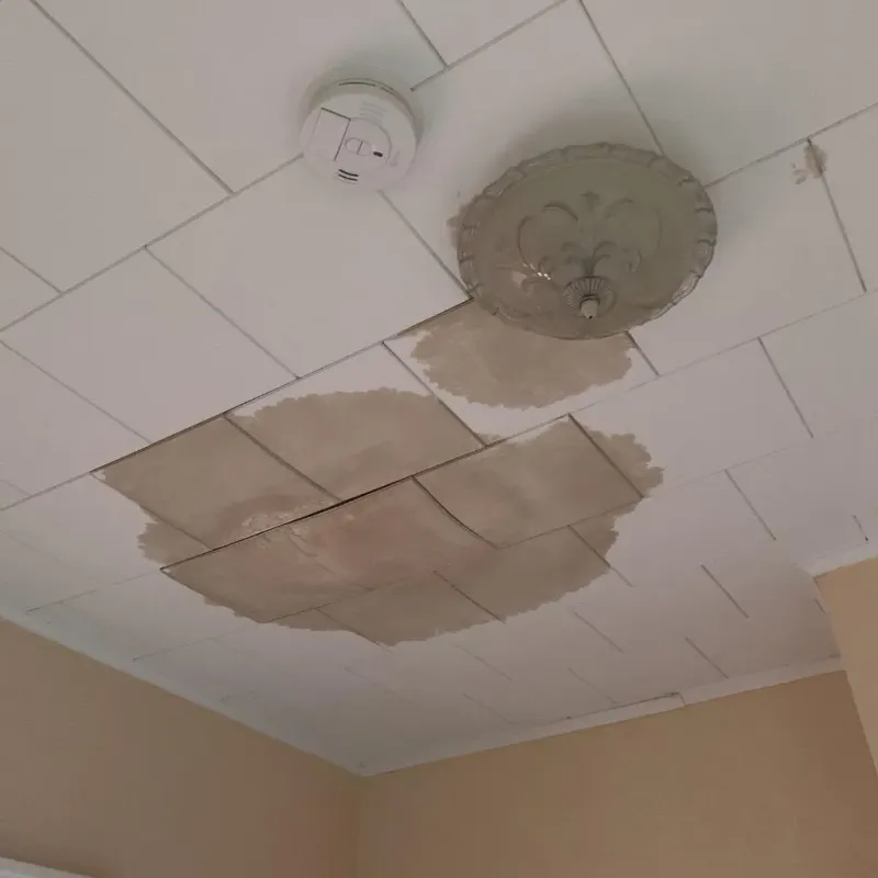 Ceiling Water Damage Repair in Warren County, MS