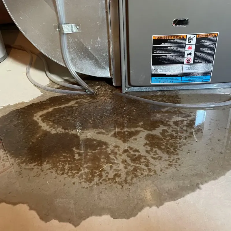 Pipe Burst and Leak Restoration in Warren County, MS